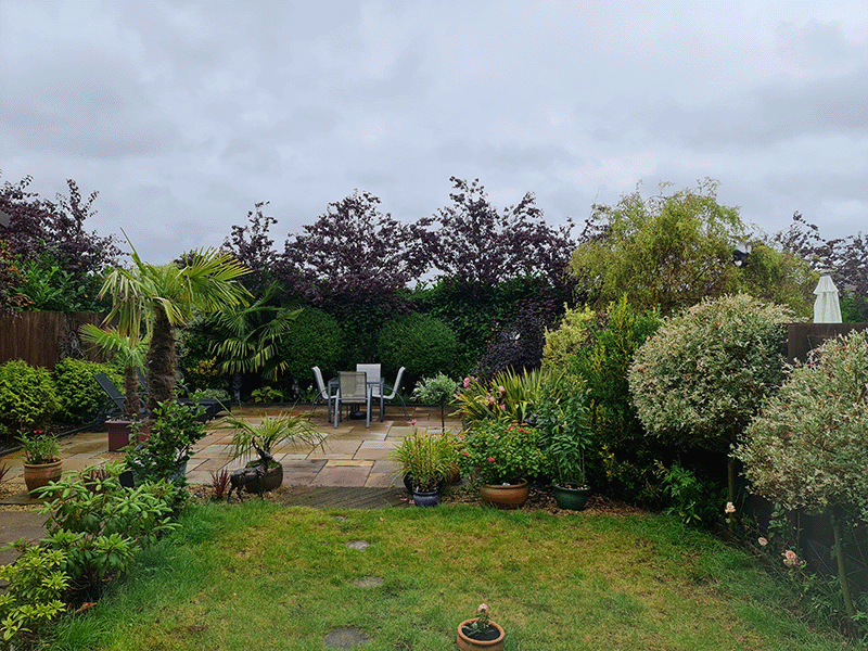 Picture of a Garden